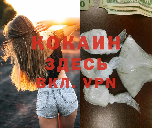 крисы Магас