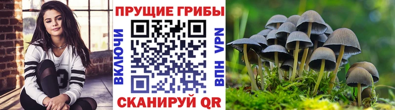 Галлюциногенные грибы Magic Shrooms  Нестеровская 